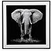 Quadro Elephant (2 X 50 X 50 Cm) - Foto miniatura 1