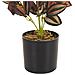 Pianta Artificiale In Vaso 35 Cm Tradescantia - Foto miniatura 4