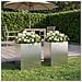 Vaso da giardino 2 pz Argento 40 x 30 x 50 cm Acciaio Inox - Foto miniatura 2
