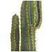 Pianta Artificiale In Vaso 78 Cm Cactus - Foto miniatura 3