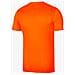 T-Shirt Dri-Fit Park 7 Bv6741-819 Bambino Taglia L Colore Arancione Fluo - Foto miniatura 2