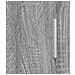 Comodini Sonoma grigio 40 x 30 x 60 cm Legno ingegnerizzato - Foto miniatura 5