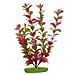 Pezzatura Di Aquascaper Ludwigia Rosso 12,5 Cm - Foto miniatura 1