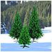 00211 Albero di Natale Re dell'Amazzonia 196 Rami Verdi Altezza 120 cm - Foto miniatura 1