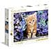 Puzzle 500 Pz - High Quality Collection - Gattino Rosso - Foto miniatura 1