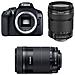EOS 1300D Kit 18-135 f3.5-5.6 IS STM + EF-S 55-250mm Sensore CMOS 18 Mpx Display 3" Filmati Full HD Wi-Fi NFC - Foto miniatura 2