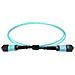 MPO-FF-OM4-B-12-50M cavo InfiniBand e in fibra ottica MPO /MTP Colore acqua - Foto miniatura 1