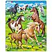 Puzzle Maxi Paarden Junior Cartone 65 Pezzi - Foto miniatura 1