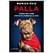 Palla. Storia Del Cane Che Mi Ha Cambiato La Vita - Foto miniatura 1