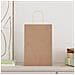 Sacchetti di Carta 250 pz con Manici Marrone 21x11x31 cm - Foto miniatura 2