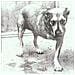 Cd Alice In Chains - Alice In Chains - Foto miniatura 2