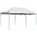 Gazebo Professionale Pieghevole 3x6 M Acciaio Bianco - Foto miniatura 1