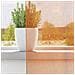 Tende in Voile con Tasche per Aste 2 pz Arancio - Foto miniatura 3