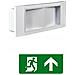 Lampada Uscita Emergenza Indicazioni Dritto Avanti Led Sicurezza Luce Bianca - Foto miniatura 1