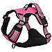 Pettorina per Cani con Guinzaglio e Collare Regolabile Rosa M - Foto miniatura 3