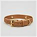Collare Per Cani Beige - Xs - Foto miniatura 1