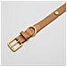 Collare Per Cani Beige - Xs - Foto miniatura 2