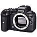 Fotocamera Mirrorless Canon Eos R6 Body (kit Box) (with Adapter)  - Foto miniatura 1
