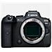 Fotocamera Mirrorless Canon Eos R6 Body (kit Box) (with Adapter)  - Foto miniatura 2