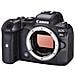 Fotocamera Mirrorless Canon Eos R6 Body (kit Box) (with Adapter)  - Foto miniatura 4