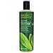 Shampoo Ricostituente Allalbero Del Ta - 12,9 Fl Oz - Terapeutico - Menta Piperita E Yucca - Antibatterico - Ripristina E Nutre I Capelli - Riduce La Desquamazione - Tutti I Tipi Di Pelle - Foto miniatura 1