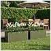 Vaso da giardino 2 pz Verde Oliva 100 x 40 x 40 cm - Foto miniatura 2