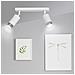 Lampada A Soffitto Hiro - Bianco, Cromo - Acciaio Verniciato A Polvere - 30x19x6 Cm - Foto miniatura 5