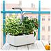 SMART Garden Bianco - Coltivazione Indoor con Regolazione Automatica del LED in base alla Luce Ambientale - Kit di 4 Semi Inclusi - Foto miniatura 3