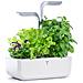 SMART Garden Bianco - Coltivazione Indoor con Regolazione Automatica del LED in base alla Luce Ambientale - Kit di 4 Semi Inclusi - Foto miniatura 2
