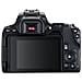 EOS 250D + EF-S 18-55mm f / 4-5.6 IS STM Kit Fotocamera SLR 24,1 MP CMOS 6000 x 4000 Pixel Colore Nero - Foto miniatura 5