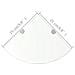 Scaffali Angolari 2 Pz Supporti Cromati E Vetro 25x25 Cm - Foto miniatura 7