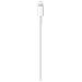 Cavo da USB-C a Lightning (1 m) - Foto miniatura 3