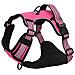 Pettorina per Cani con Guinzaglio e Collare Regolabile Rosa L - Foto miniatura 2