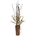 DECO Fioriera Vaso modello Africa 74 x 54 x 44 cm - Foto miniatura 3
