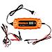 Raddrizzatore Automatico 10a / 160w, 3-200ah, Per Batterie Al Piombo / Agm / Gel - Foto miniatura 1