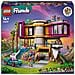Friends La villa moderna di Andrea - Foto miniatura 1