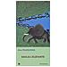Arto Paasilinna - Emilia L'Elefante  - Foto miniatura 2