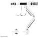 NM-D775DXWHITE Supporto da Scrivania con Maniglia e Molla a Gas per Schermi LCD /LED /TFT fino a 32" Colore Bianco - Foto miniatura 5