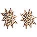 2 Fiocchi Di Neve - Legno - 3d - Decorazione Per Albero Di Natale - 9 Cm - Foto miniatura 1