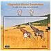 Camera Da Fauna Selvatica Con Visione Notturna Impermeabile 120detecting Range Ip66 Waterproof Design-brown - Foto miniatura 5