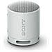 Altoparlante Portatile SRS-XB100 Wireless Bluetooth Colore Grigio - Foto miniatura 1