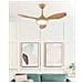 Ventilatore Da Soffitto Marrone Con Luce Muddy - Foto miniatura 1