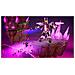 Party! Standard Multilingua PlayStation 5 - Foto miniatura 9