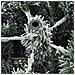 Albero di Natale Artificiale Snodato Foderato di Neve Bianco - Foto miniatura 7