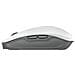 Tastiera e Mouse Wireless JD-8560GB-0  per Desktop (Layout Inglese) Colore Grigio - Foto miniatura 5