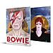 Michael Allred - Bowie - Foto miniatura 1