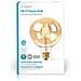 Wifilf10gdg125 Lampadina Con Filamento Led Wifi Smart E27 5 125 Millimetri W 500 Lm - Foto miniatura 4