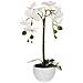Pianta Artificiale Orchid Bianco - Foto miniatura 2