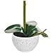 Pianta Artificiale Orchid Bianco - Foto miniatura 3