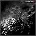 Cd Scott Walker & Sunn O))) - Soused - Foto miniatura 1